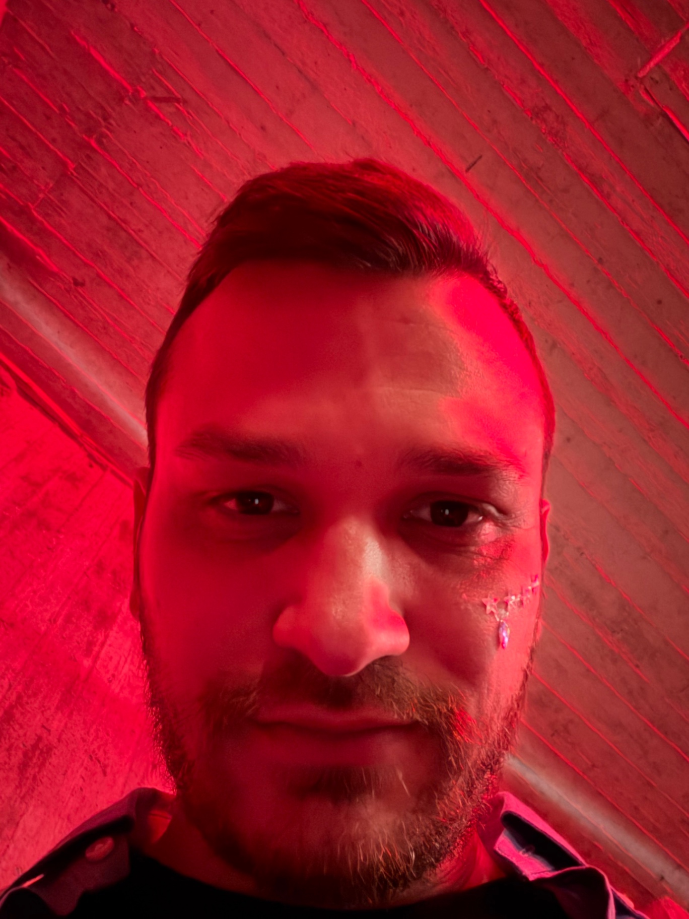 Φωτογραφία γκαλερί